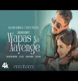Wapas Na Aayenge