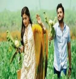 O Mitra O Yaara Yaari Tod Ke Mat Jana