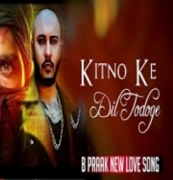 Kitno Ke Dil Todoge