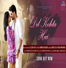 Dil Kehta Hain