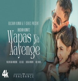 Wapas Na Aayenge