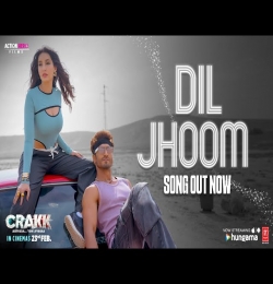 Dil Jhoom Jhoom Chale Soniya