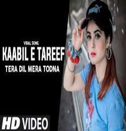 Kaabil E Tareef Tera Dil Mera Todna