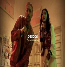 Pasoori (Slowed + Reverb)