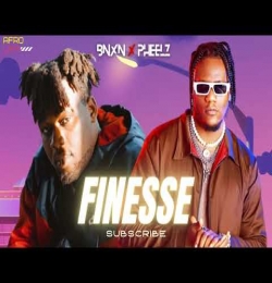 Finesse