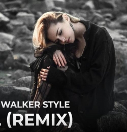 Control Alan Walker