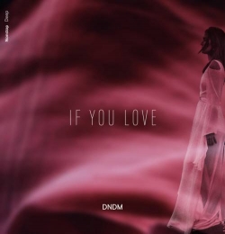 I Love You Much (Original Mix)
