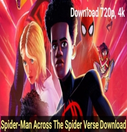 Spider Man Across The Spider Verse