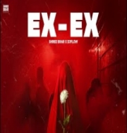 EX X