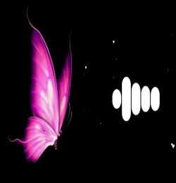 Jamal Kudu Flut Ringtones