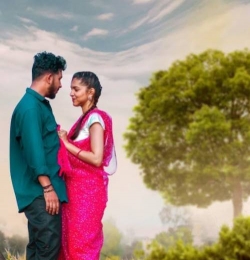 Gulabi Sadi