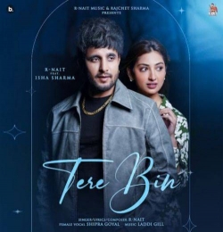 Tere Bin