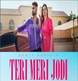 Teri Meri Jodi