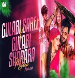 Gulabi Saree X Gulabi Sharara