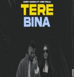 Tere Bina