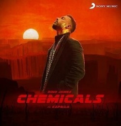 Chemicals