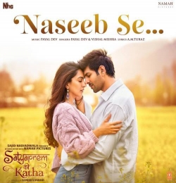 Naseeb Se Mila Jo Tera Saath Hai