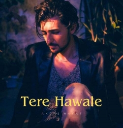 Tere Hawale